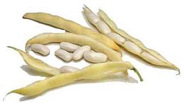 whitekidneybeans