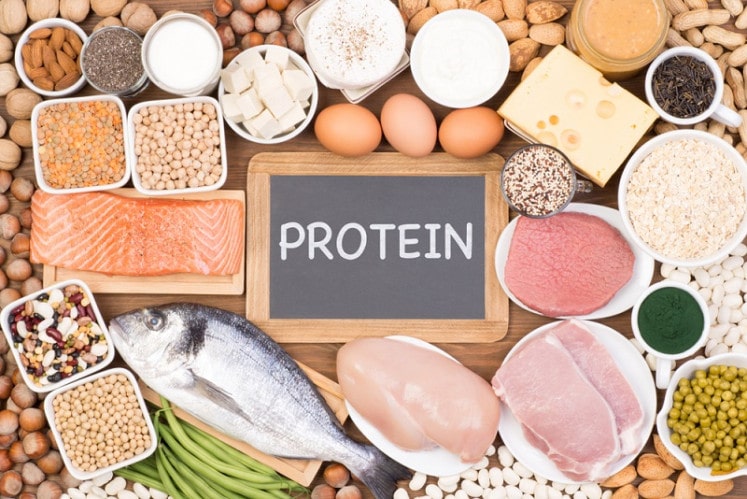 foods containing protein