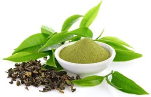 green tea extract EGCG
